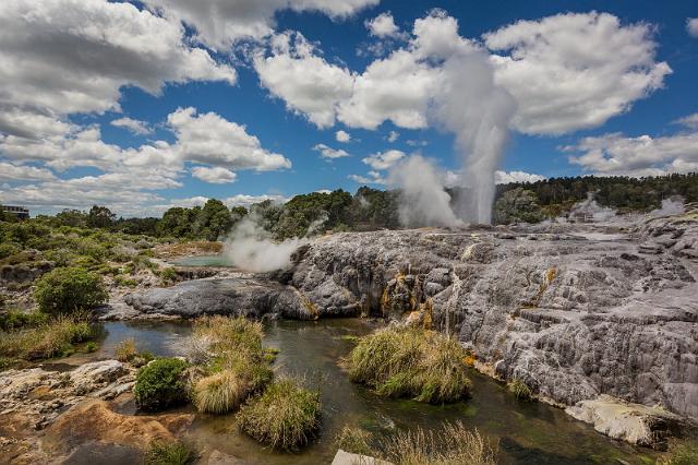 137 Rotorua, Te Puia, Pohutu Geiser.jpg
